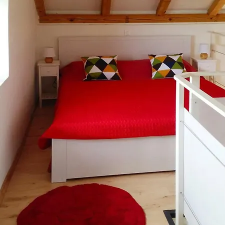 Holiday Bobovisca - Cin08010-fyc * Ložišće
