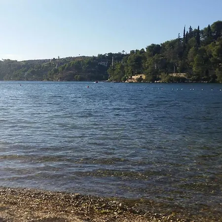 Holiday Bobovisca - Cin08010-fyc * Ložišće